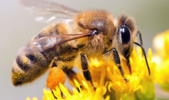 Продам готовий бізнес